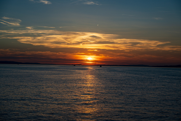 DSC_8964