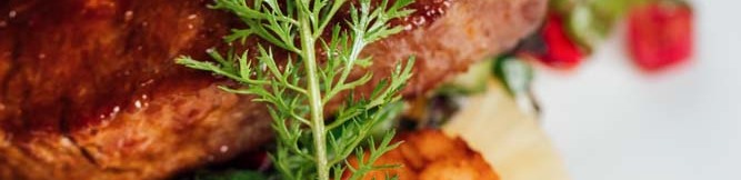 2108_V-Lines_FleischMarina_Schedler_Photography_O7A3334