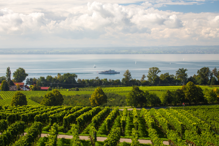 Aussicht Hohberg (8)