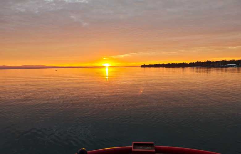 IMG-20261016-WA0037