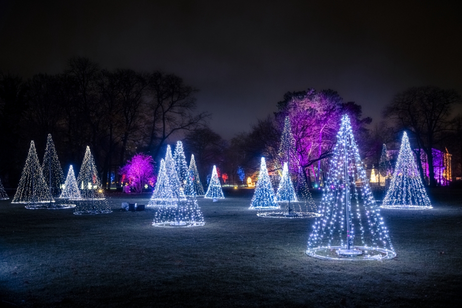 Weihnachten im Tierpark 2024_Funkelnder Lichterwald ©ChristmasGarden Michael Clemens