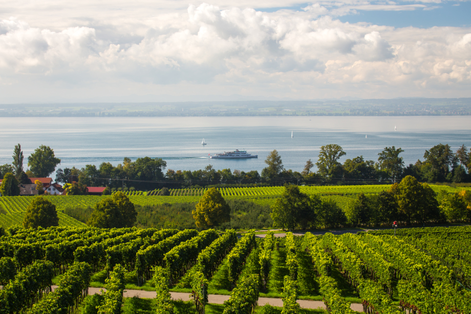 Aussicht Hohberg (8)