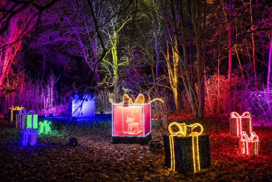 Weihnachten im Tierpark 2024_Schöne Bescherung ©ChristmasGarden Michael Clemens