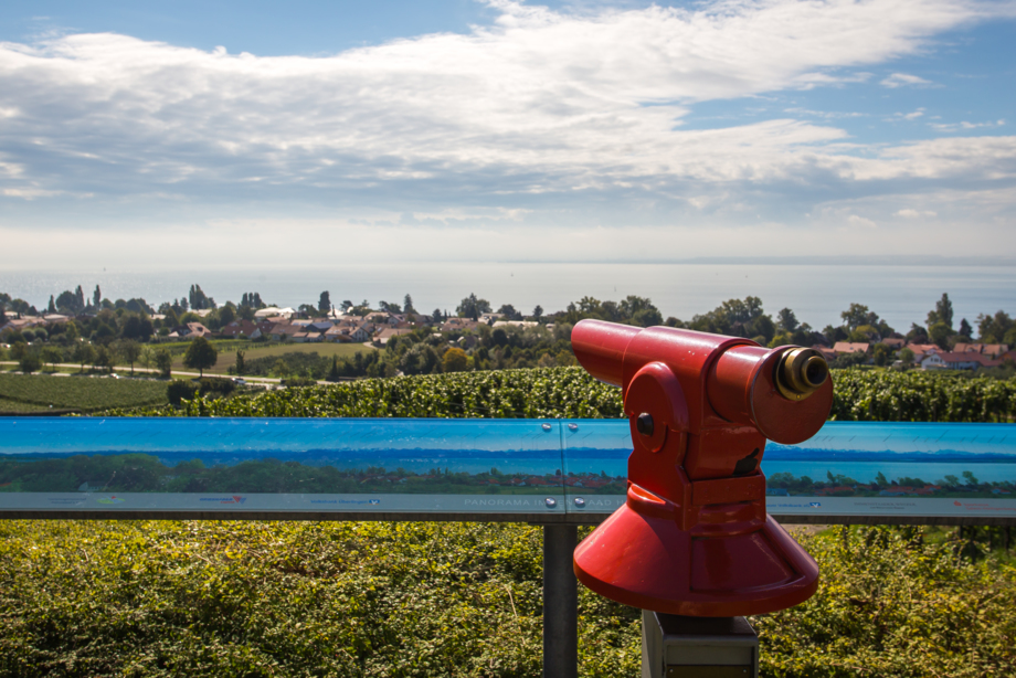 Aussicht Hohberg mit Fernglas